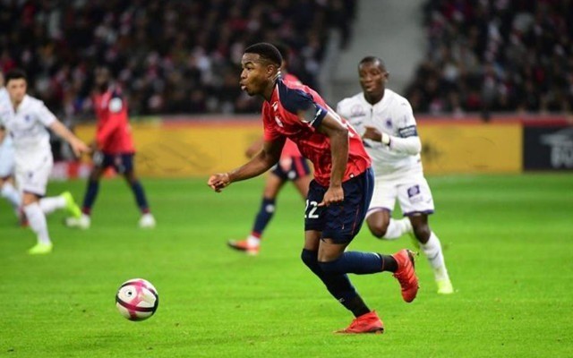 体和球迷的 体和球迷的